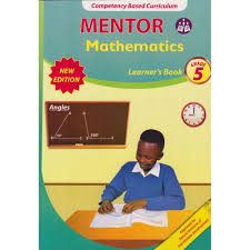 Mentor Mathematics Grade 5
