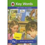 Ladybird key words 11c