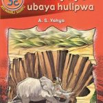Afanyaye Ubaya Hulipwa 3C