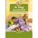 A Big Surprise 3e