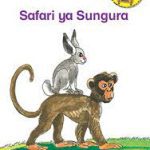 Safari ya Sungura