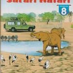 Safari Hatari level 8