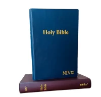 NIV Holy Bible Small Soft cover brown