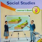 Mentor Social Studies Grade 9