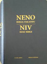 Neno Biblia Takatifu NIV Holy Bible Diglot