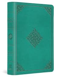 ESV Value Large Print Compact Bible Turquoise