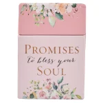 Promises to Bless Your Soul Cards (Boxed Cards)