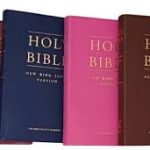 BSK NKJV Bible Standard Vinyl