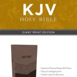 KJV Giant Print Comfort Print Holy Bible Brown Leathersoft